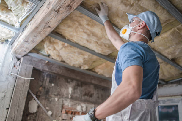 Best Home Insulation Services  in West Brownsville, PA