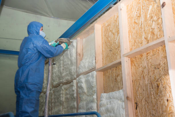 Best Residential Insulation Services  in West Brownsville, PA